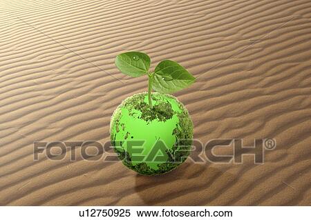 Stock Photography - Sapling growing from a green ball in a desert. Fotosearch