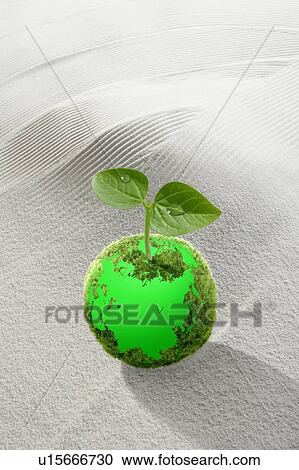 Sapling growing from a green ball on white sand View Large Photo Image Stock Image - Sapling growing from a green ball on white sand. Fotosearch