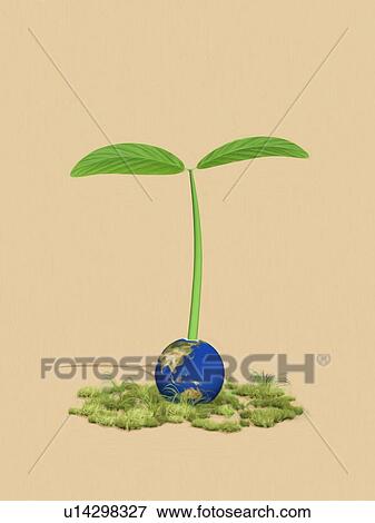 Sapling growing from globe View Large Photo Image Stock Photo - Sapling growing from globe. Fotosearch