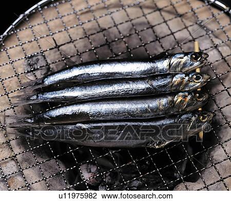 Sardines cooking on charcoal brazier View Large Photo Image Stock Image - Sardines cooking on charcoal brazier. Fotosearch