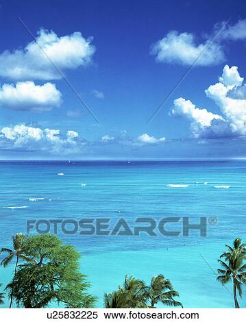 Stock Photography - Sea and sky with trees. Fotosearch
