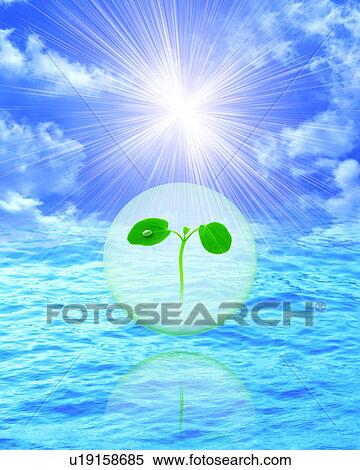 Stock Photography - Seedling in ball over water, computer graphic. Fotosearch