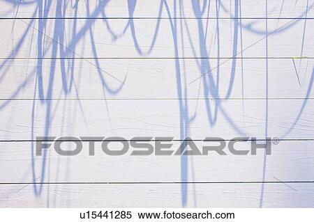 Stock Photography - Shadow of grass on deck. Fotosearch