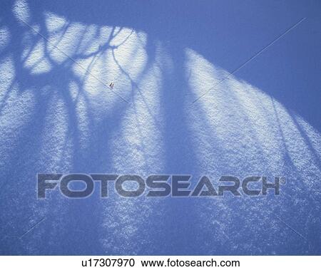 Shadows on Snow Field View Large Photo Image Stock Image - Shadows on Snow Field. Fotosearch