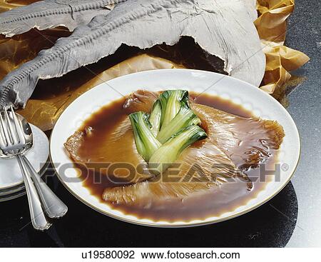Shark's Fin View Large Photo Image Stock Image - Shark's Fin. Fotosearch