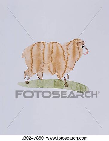 Stock Image - Sheep. Fotosearch