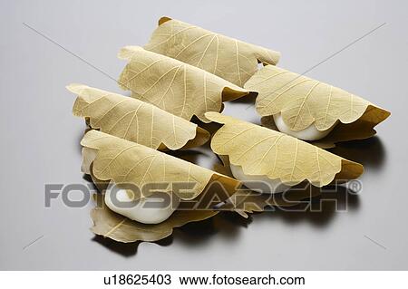 Stock Image - shi wrapped in leaves, black background. Fotosearch