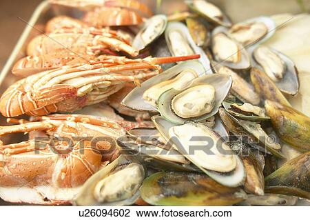 Stock Image - Shrimp and Mussels. Tokyo Prefecture, Japan. Fotosearch