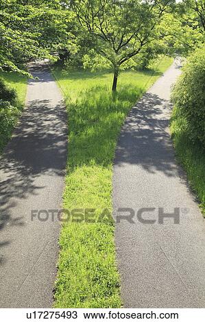 Stock Image - Sidewalks in park. Fotosearch