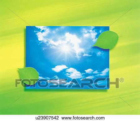 Stock Image - Sky and leaves. Fotosearch