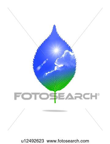 Stock Image - Sky inside a leaf. Fotosearch