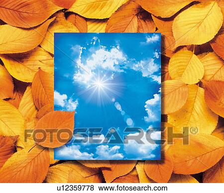 Stock Photo - Sky surrounded by leaves. Fotosearch