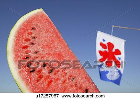 Stock Photo - Slice of watermelon, blue background. Fotosearch