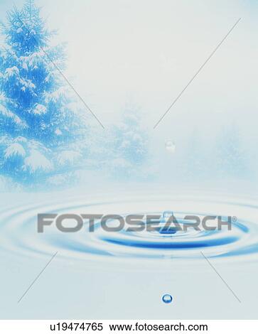 Snow covered trees beside water View Large Photo Image Stock Photography - Snow covered trees beside water. Fotosearch