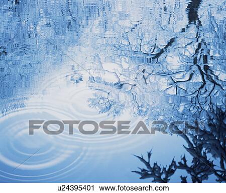 Snow covered trees reflected in water View Large Photo Image Stock Image - Snow covered trees reflected in water. Fotosearch