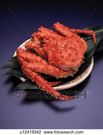 Snow crab View Large Photo Image Stock Image - Snow crab. Fotosearch