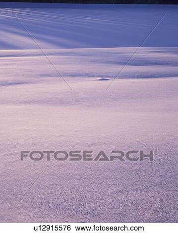 Stock Photograph - Snow Field. Fotosearch