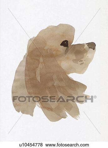 Spaniel, Water Color Painting View Large Photo Image Stock Photo - Spaniel, Water Color Painting. Fotosearch