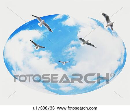 Stock Image - Sphere of cloud and sky with birds flying overhead. Fotosearch