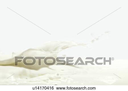 Stock Photograph - Splashing Milk on a White Background. Fotosearch