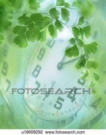 Stock Image - Stopwatch under a plant. Fotosearch