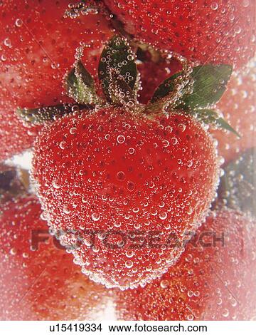 Strawberries in water View Large Photo Image Picture - Strawberries in water. Fotosearch