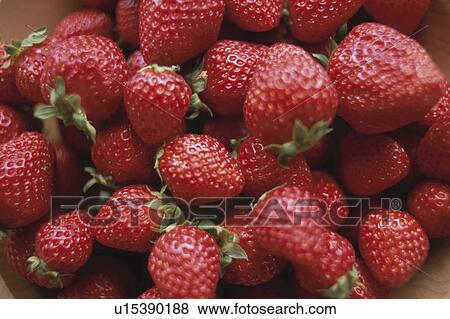Strawberries View Large Photo Image Stock Photo - Strawberries. Fotosearch