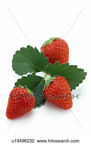 Stock Image - Strawberry. Fotosearch