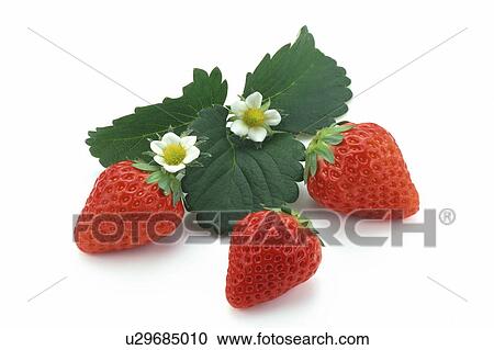 Stock Image - Strawberry. Fotosearch