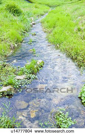 Stream running through fields, Otsu, Shiga Prefecture, Japan View Large Photo Image Picture - Stream running through fields, Otsu, Shiga Prefecture, Japan. Fotosearch