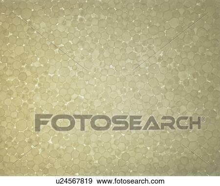 Styrene foam View Large Photo Image Stock Photo - Styrene foam. Fotosearch
