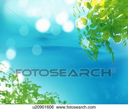 Stock Photograph - Sunlight shining through leaves. Fotosearch