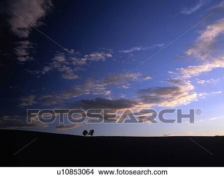 Picture - Sunrise Color . Fotosearch