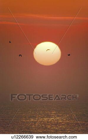 Stock Photo - Sunrise Over the Horizon. Fotosearch
