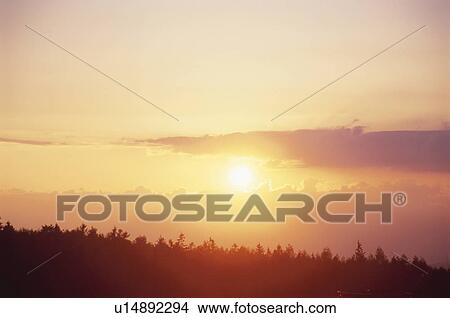 Sunset over a Forest. Nagano Prefecture, Japan View Large Photo Image Picture - Sunset over a Forest. Nagano Prefecture, Japan. Fotosearch