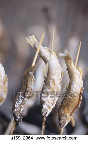 Picture - Sweetfish on sticks grilled with salt. Fotosearch