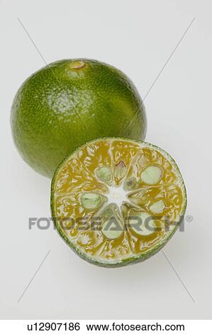 Stock Photograph - Taiwan tangerine. Fotosearch