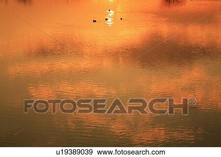 Stock Photo - Tama river in sunset color, full frame, Tokyo prefecture, Japan. Fotosearch