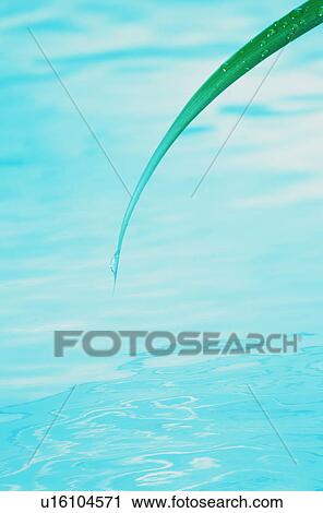 The image of water View Large Photo Image Stock Image - The image of water. Fotosearch