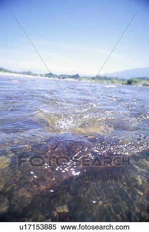 The stream of Okawa. Aizumisato, Fukushima Prefecture, Japan View Large Photo Image Stock Photography - The stream of Okawa. Aizumisato, Fukushima Prefecture, Japan. Fotosearch