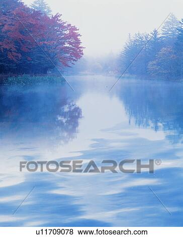 Stock Photo - The trees image reflected in the water surface. Fotosearch