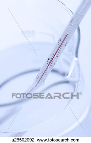 Stock Image - Thermometer in beaker, close up, white background. Fotosearch