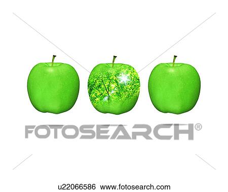 Three apples and one of them with leaves inside View Large Photo Image Stock Photograph - Three apples and one of them with leaves inside. Fotosearch