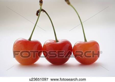 Three cherries, close up, white background View Large Photo Image Stock Photo - Three cherries, close up, white background. Fotosearch