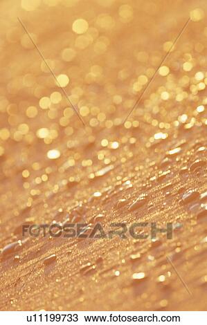Stock Image - Tilted View of Pebbles on a Beach. Kanagawa Prefecture, Japan. Fotosearch