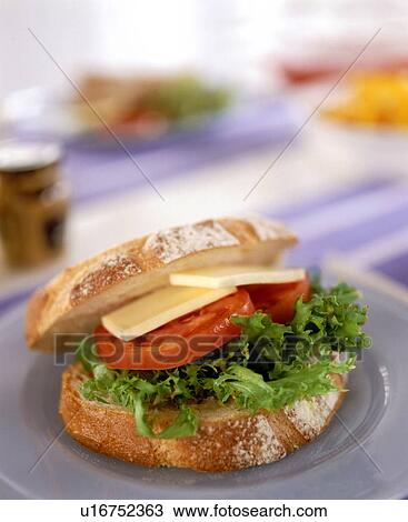 Tomato, cheese and salad sandwich View Large Photo Image Stock Image - Tomato, cheese and salad sandwich. Fotosearch