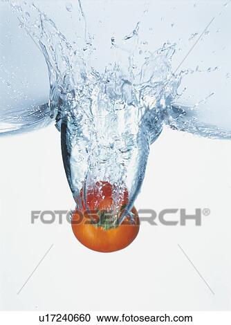 Tomato falling into water View Large Photo Image Stock Image - Tomato falling into water. Fotosearch