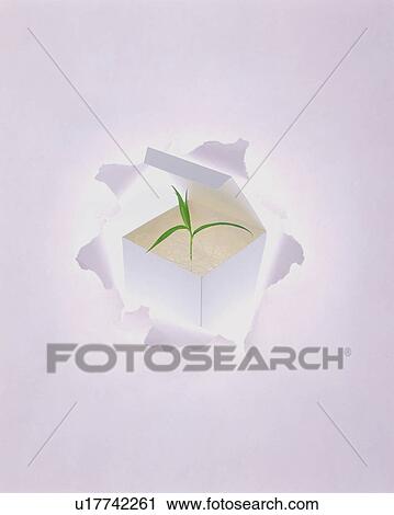 Stock Image - Torn paper revealing seedling sprouting in a box. Fotosearch