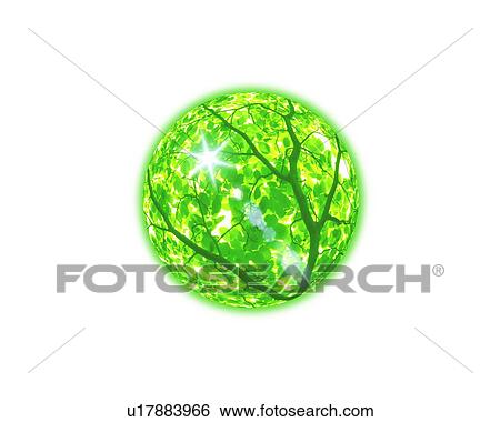 Stock Photograph - Tree branches in sphere. Fotosearch