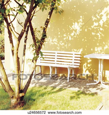 Tree casting shadows on wall next to park bench View Large Photo Image Stock Image - Tree casting shadows on wall next to park bench. Fotosearch